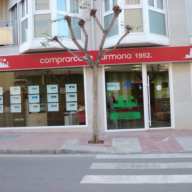 Inmobiliaria Carmona
